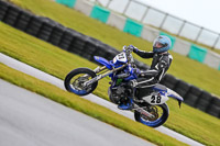 PJ-Motorsport-2019;anglesey-no-limits-trackday;anglesey-photographs;anglesey-trackday-photographs;enduro-digital-images;event-digital-images;eventdigitalimages;no-limits-trackdays;peter-wileman-photography;racing-digital-images;trac-mon;trackday-digital-images;trackday-photos;ty-croes